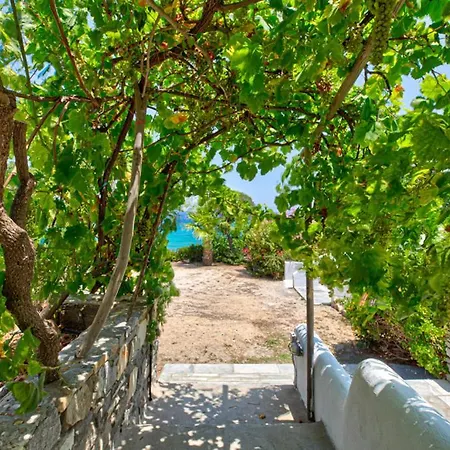 Hotel Paros Blue Dolphin Fully Renovated By Rivea Group *