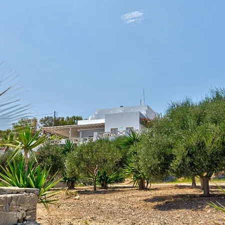 Hotel Paros Blue Dolphin Fully Renovated By Rivea Group