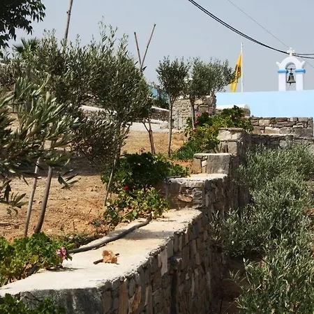 Paros Blue Dolphin Fully Renovated By Rivea Group Chrisi Akti (Paros)