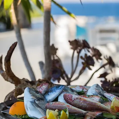 Hotel Paros Blue Dolphin Fully Renovated By Rivea Group *