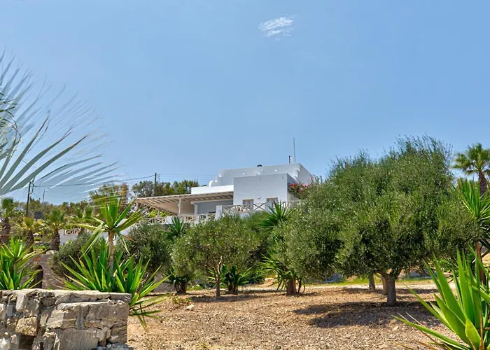 Hotel Paros Blue Dolphin Fully Renovated By Rivea Group
