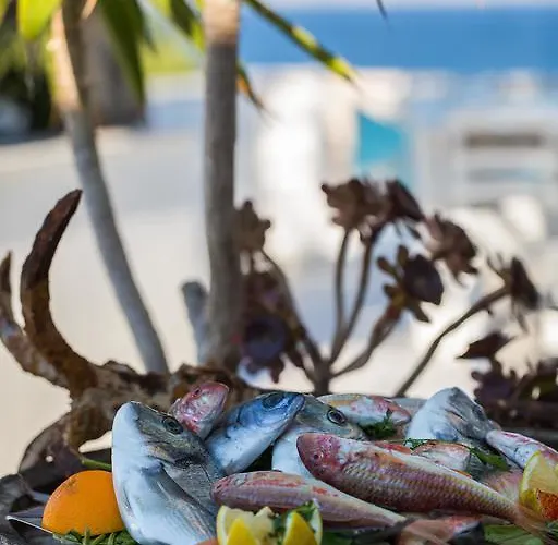 Hotel Paros Blue Dolphin Fully Renovated By Rivea Group *