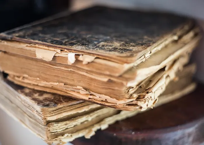 Paros Blue Dolphin Fully Renovated By Rivea Group 酒店