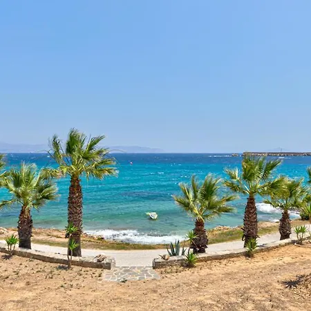 Paros Blue Dolphin Fully Renovated By Rivea Group 호텔