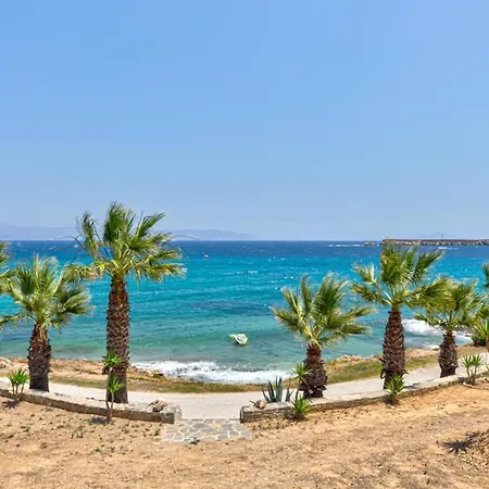 Paros Blue Dolphin Fully Renovated By Rivea Group Hotel