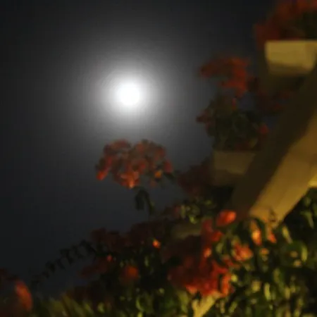 Paros Blue Dolphin Fully Renovated By Rivea Group Hotel