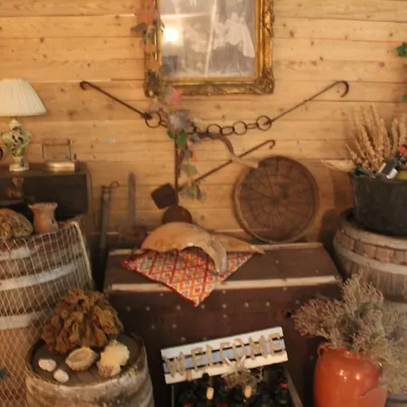 Paros Blue Dolphin Fully Renovated By Rivea Group Hotel