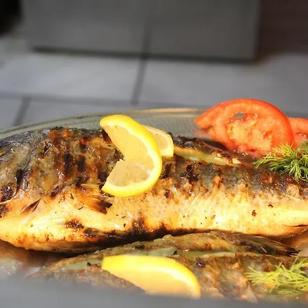 Hotel Paros Blue Dolphin Fully Renovated By Rivea Group Chrisi Akti (Paros)