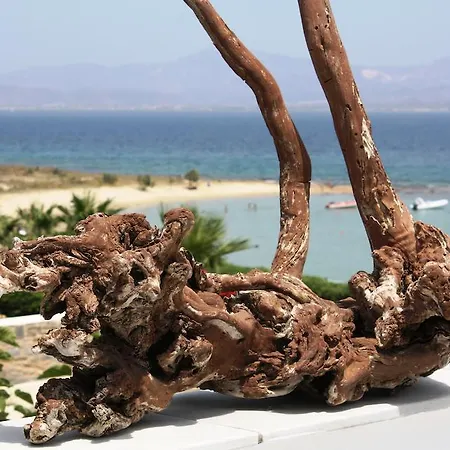 호텔 Paros Blue Dolphin Fully Renovated By Rivea Group 흐리시 악티