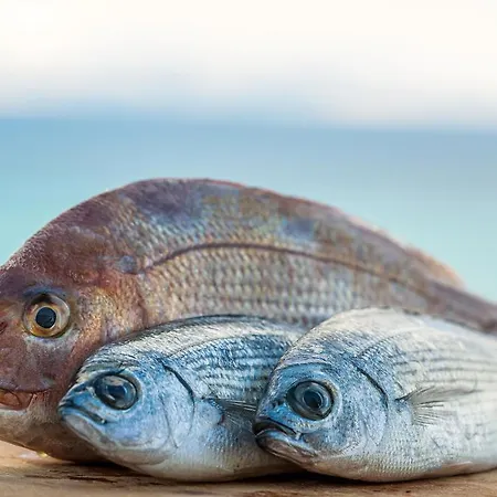 Hotel Paros Blue Dolphin Fully Renovated By Rivea Group *