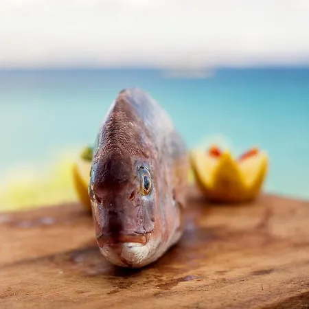 Paros Blue Dolphin Fully Renovated By Rivea Group Hotel Chrisi Akti (Paros)