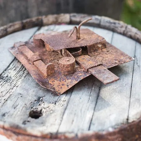 Paros Blue Dolphin Fully Renovated By Rivea Group Chrisi Akti (Paros)