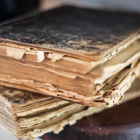 Paros Blue Dolphin Fully Renovated By Rivea Group Hotel