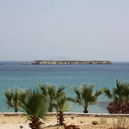Paros Blue Dolphin Fully Renovated By Rivea Group *