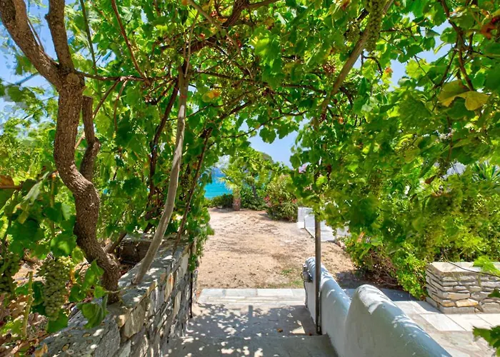 Ξενοδοχείο Paros Blue Dolphin Fully Renovated By Rivea Group *