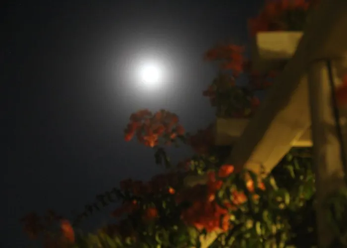 Paros Blue Dolphin Fully Renovated By Rivea Group Ξενοδοχείο