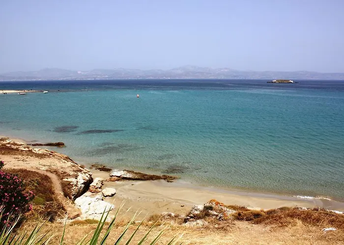 Ξενοδοχείο Paros Blue Dolphin Fully Renovated By Rivea Group Χρυσή Ακτή