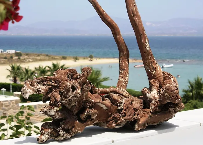 Ξενοδοχείο Paros Blue Dolphin Fully Renovated By Rivea Group Χρυσή Ακτή