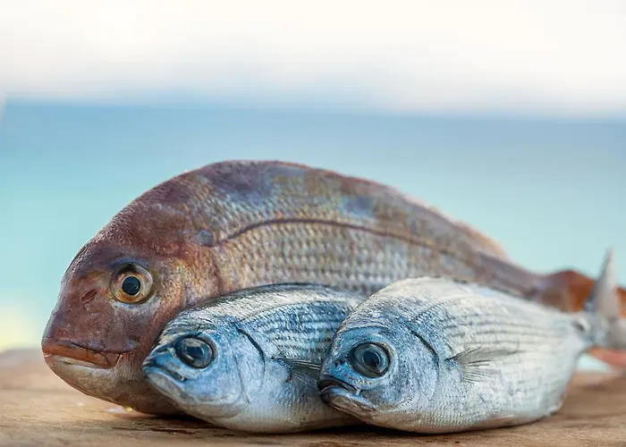 Ξενοδοχείο Paros Blue Dolphin Fully Renovated By Rivea Group *