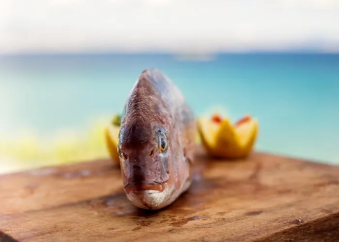 Paros Blue Dolphin Fully Renovated By Rivea Group Ξενοδοχείο Χρυσή Ακτή