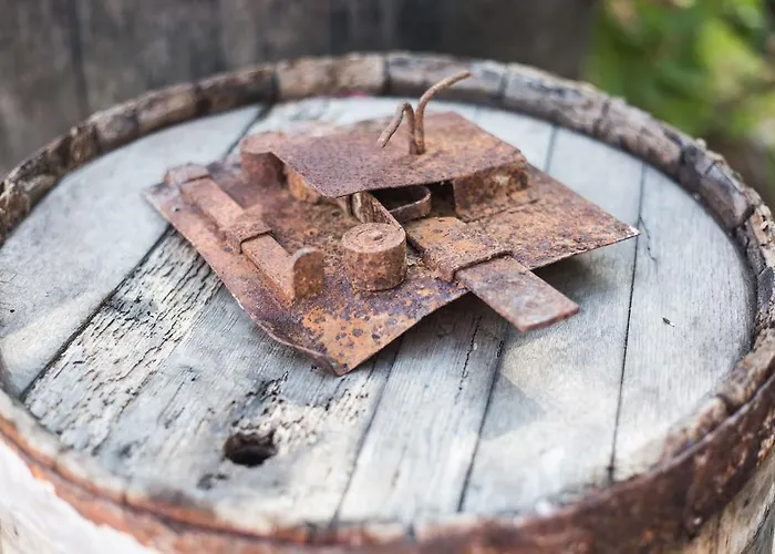 Paros Blue Dolphin Fully Renovated By Rivea Group Χρυσή Ακτή